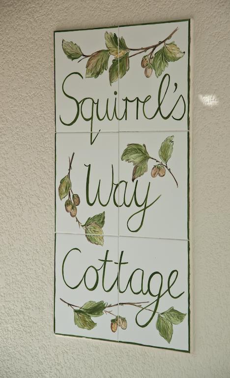 Squirrels Way Cottages เคปทาวน์ ภายนอก รูปภาพ